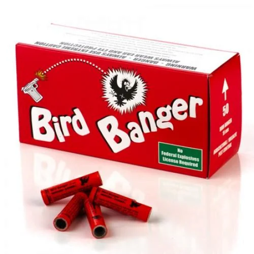 bird banger red